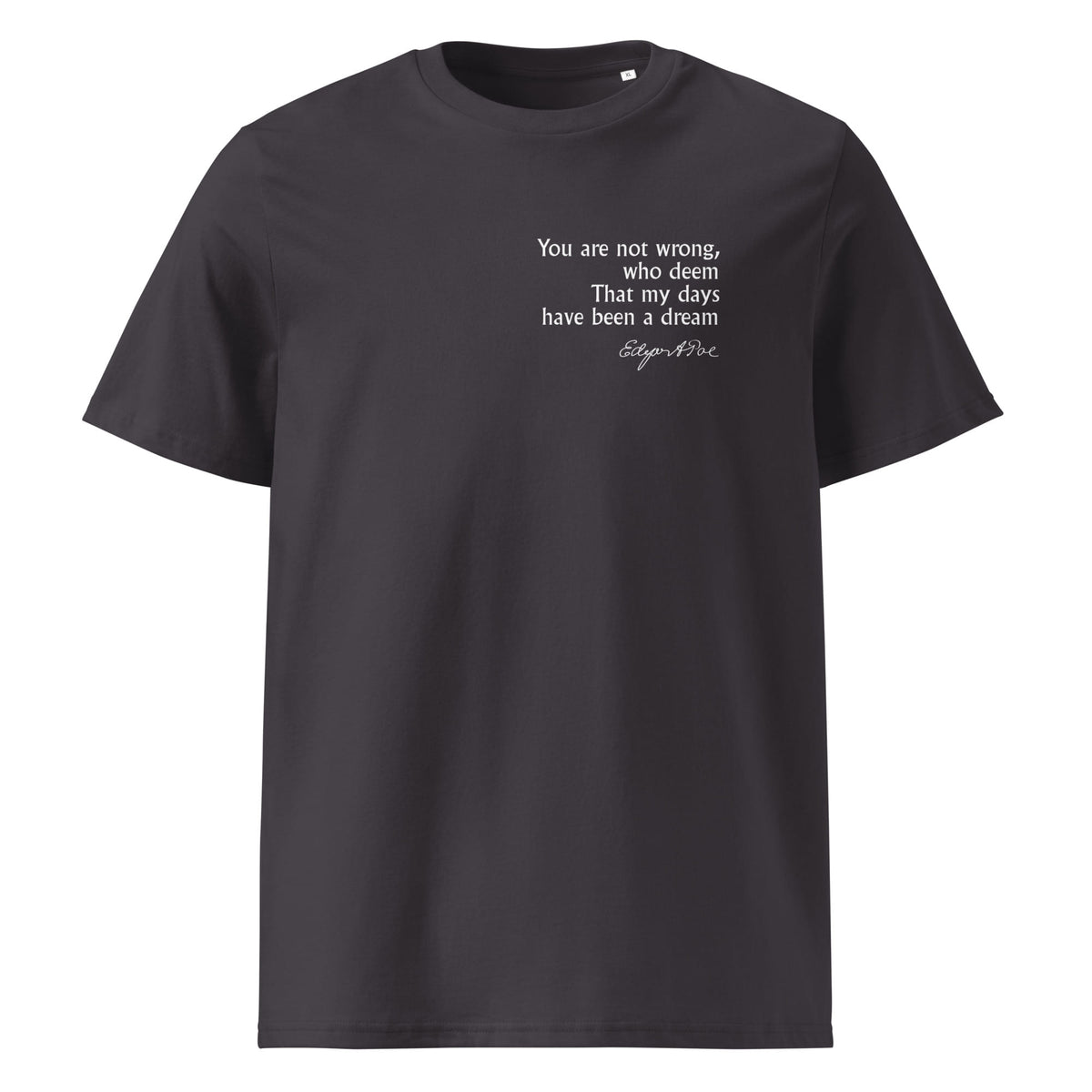 Edgar Allan Poe poetry quote T-shirt 'My days have been a dream', anthracite front